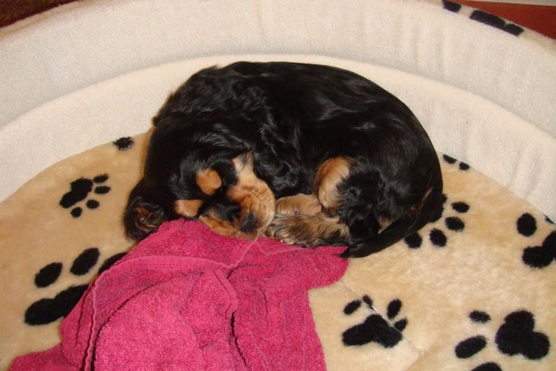 v novem domove (4).jpg